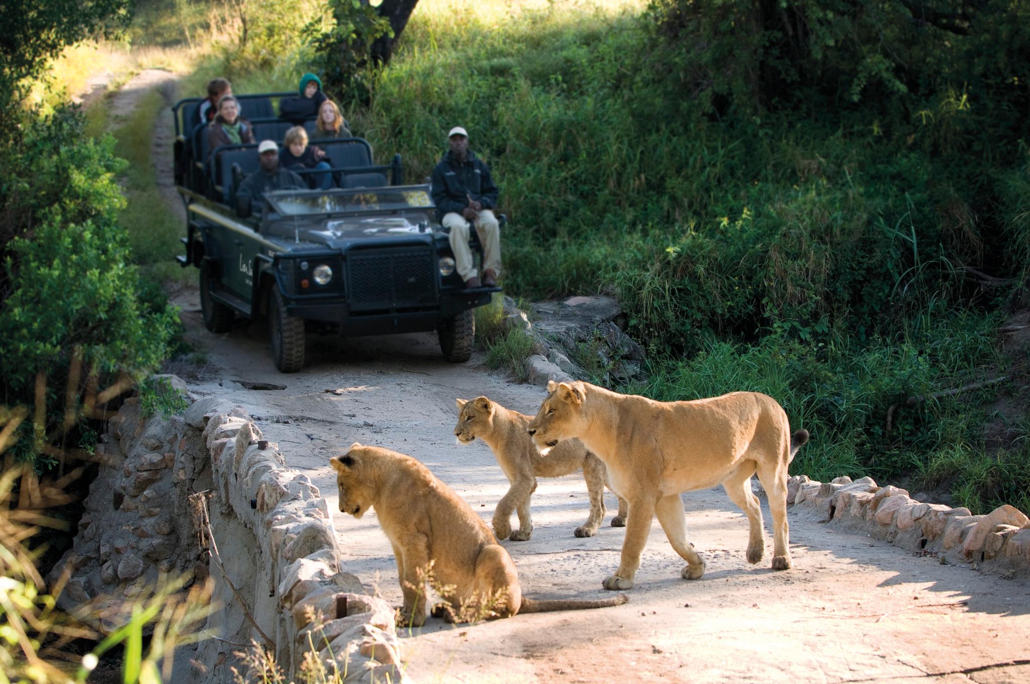 Lion Sands Narina Lodge Cagar Alam Sabi Sand Bagian luar foto