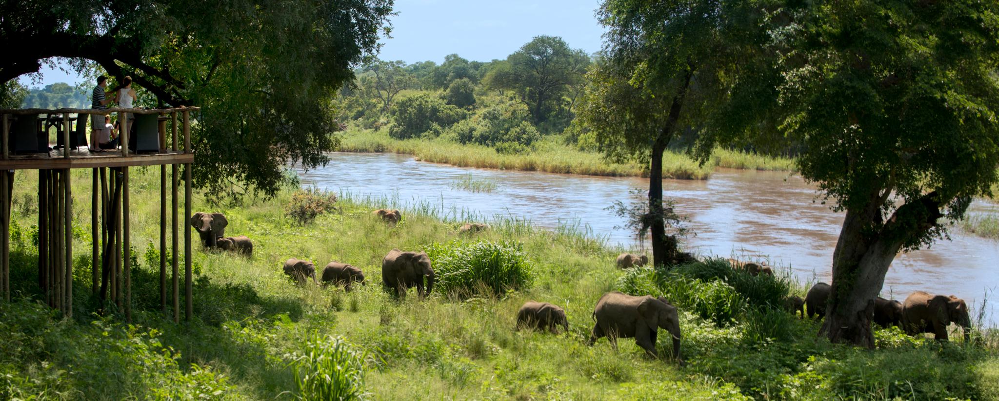 Lion Sands Narina Lodge Cagar Alam Sabi Sand Bagian luar foto